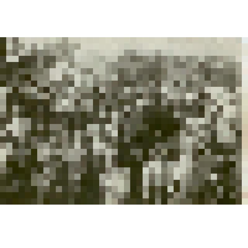 Фотография. Учащиеся села Самойловка Балашовского округа – участники акции по уничтожению сусликов