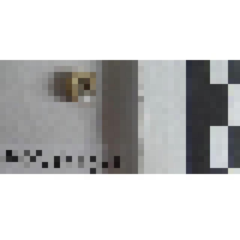 Раковина брюхоногого моллюска. Катушка окаймленная. Planorbis planorbis L.,1758