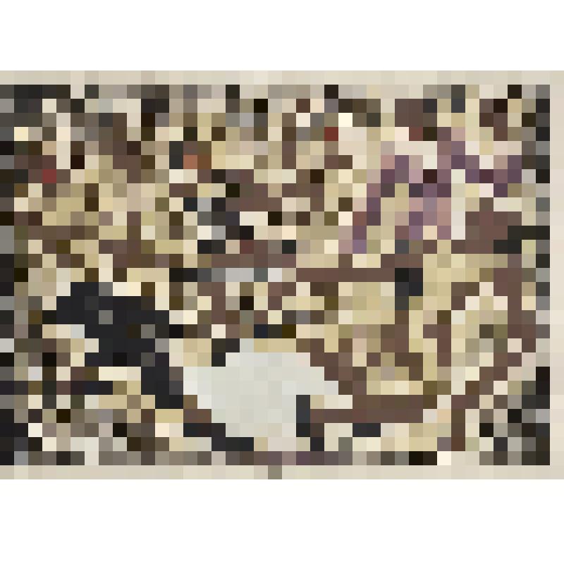 Буги-вуги, гравюра