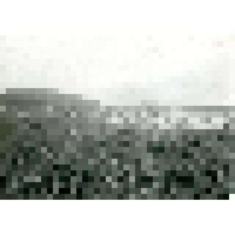 Фотография. Луг в устье р. Каньи (левый приток Алдана)