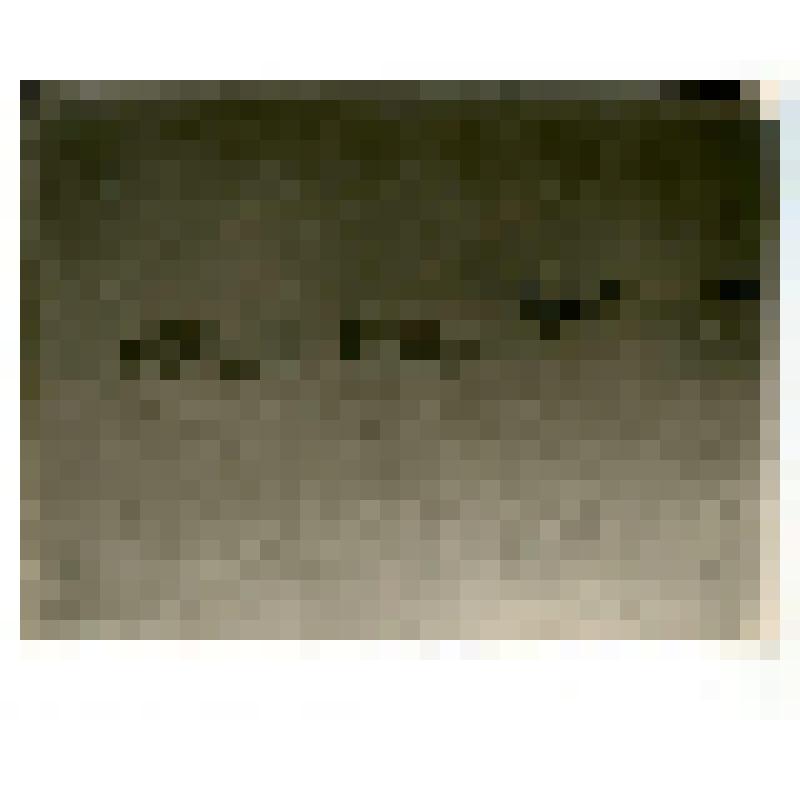 Фотография. Экспедиция в пути