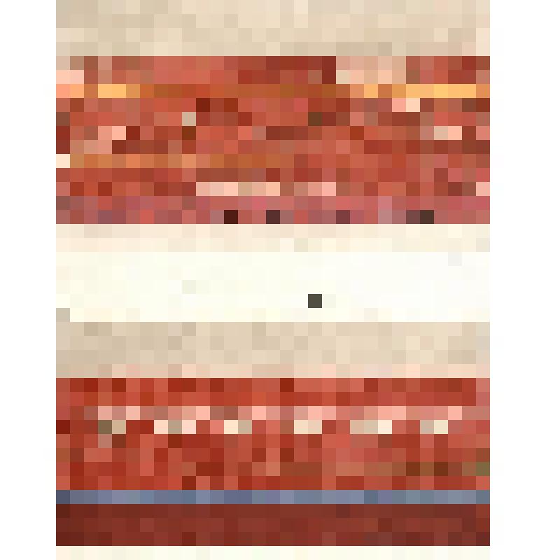 Зарисовка подола женской рубахи. Из альбома зарисовок "Русское народное ткачество. Рязанское ткачество"