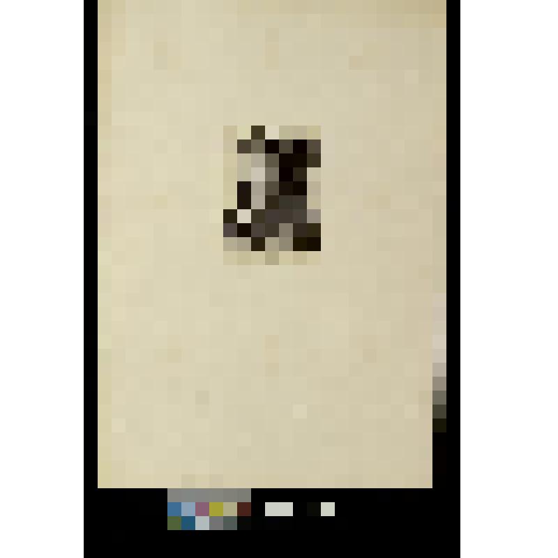 Раненый Дубровский во главе разбойников в лесном лагере