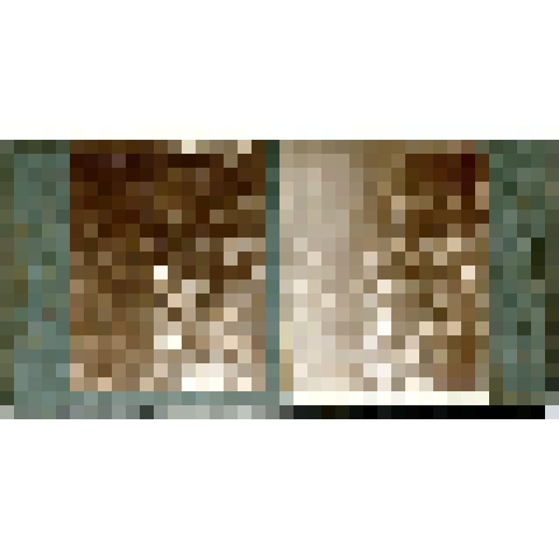 Карточка для стереоскопа «Ташкепюр (каменный мост): глыба 11 саж. выш., завалившая щель р. Уллу-Кам на 5 саж. от поверхности воды». Из коллекции «Кавказ» с видами природы Западного Кавказа, серии 1-№31. Фото Н.Л. Минервина