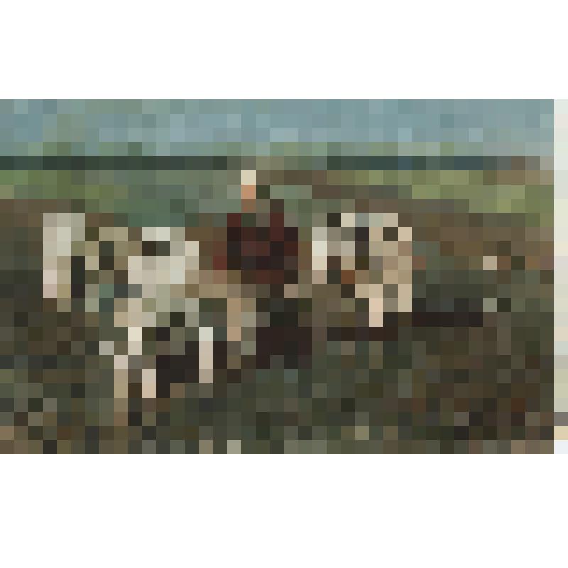 Открытка.Репродукция с картины И.Е.Репина «Толстой на пашне» цв