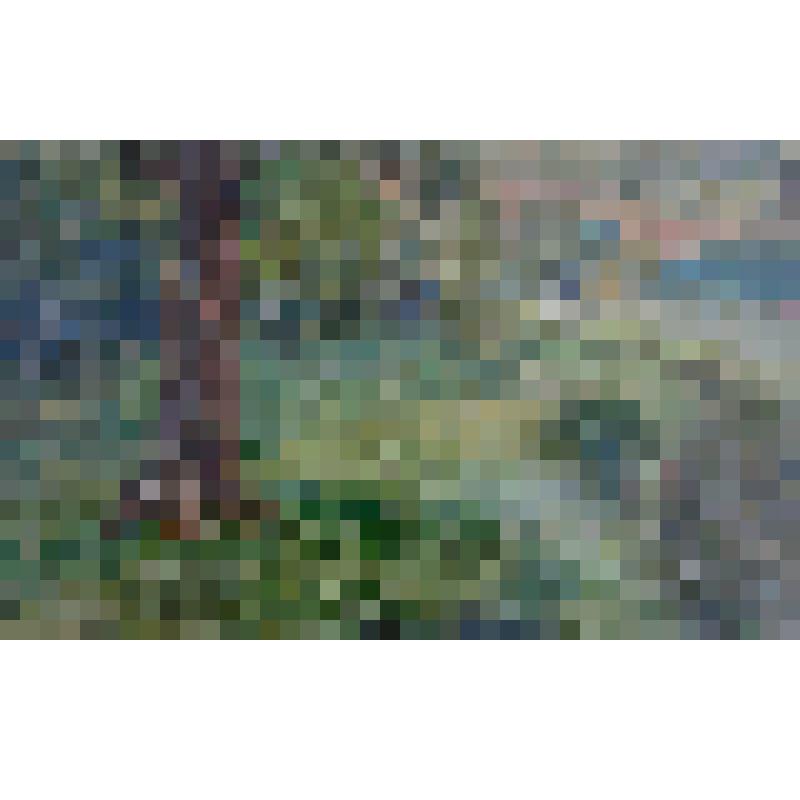 Рисунок. Этюд №35