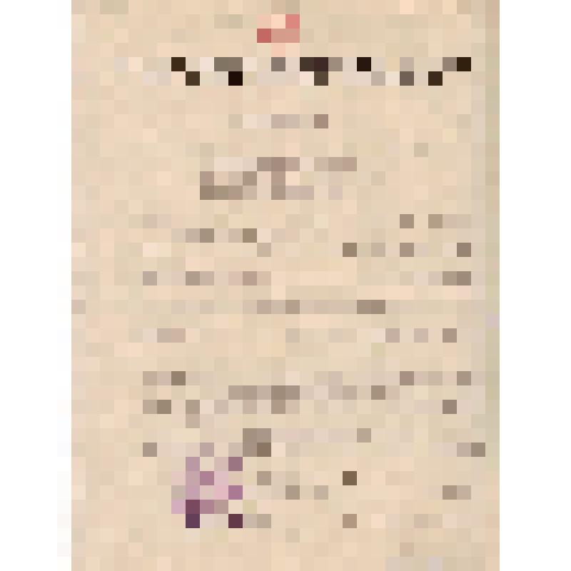 Постановление № 70 СНК Латвийской ССР о предоставлении постоянному представителю СНК республики при СНК СССР уполномочий от СНК Латвийской ССР