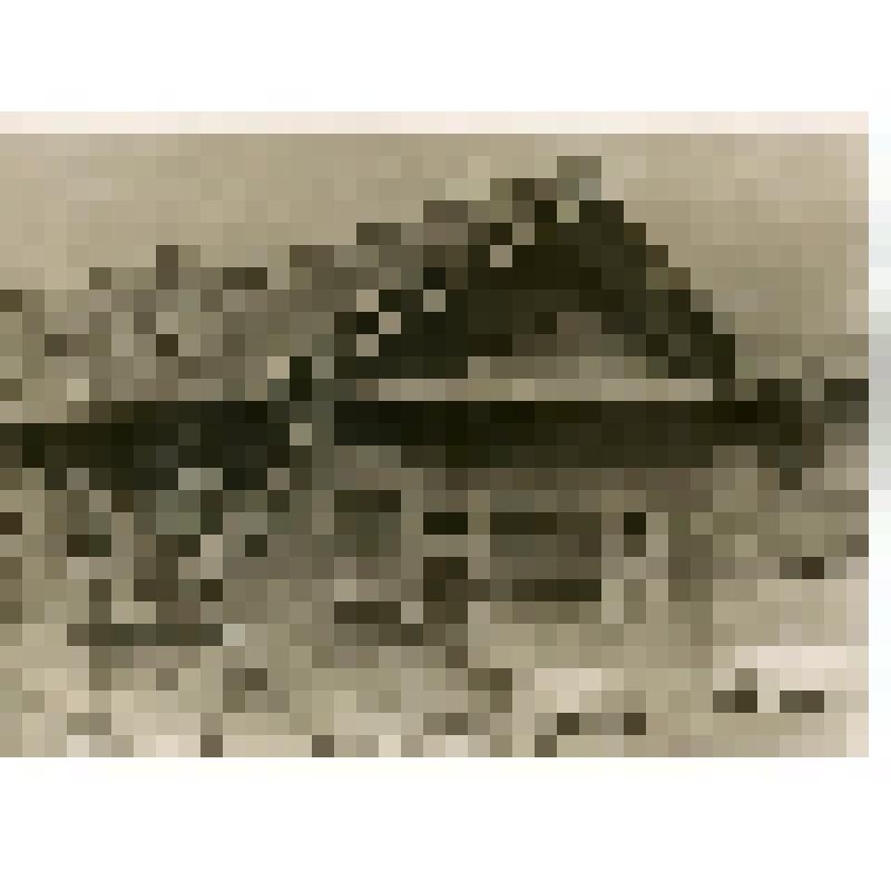 Фотография. Дом в дер. В.Керчево