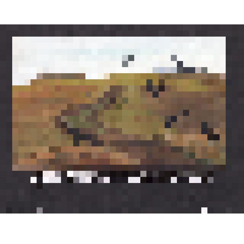 эскиз кадра к макету диафильма. Лист № 4: Пустая пашня
Фильм: Кто как к зиме готовится. 1989