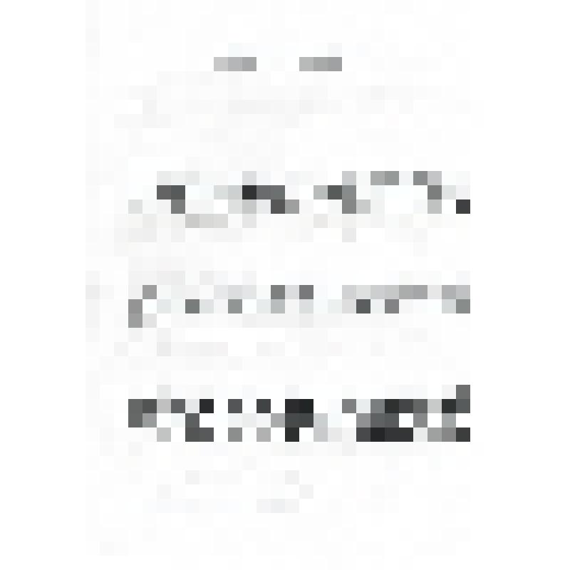 Обращение Президента Ассоциации культурных и экономических связей с Республикой Беларусь Паничева Н.А. к участникам конгресса "Россия - Беларусь: прошлое, настоящее, будущее" (с автографом)