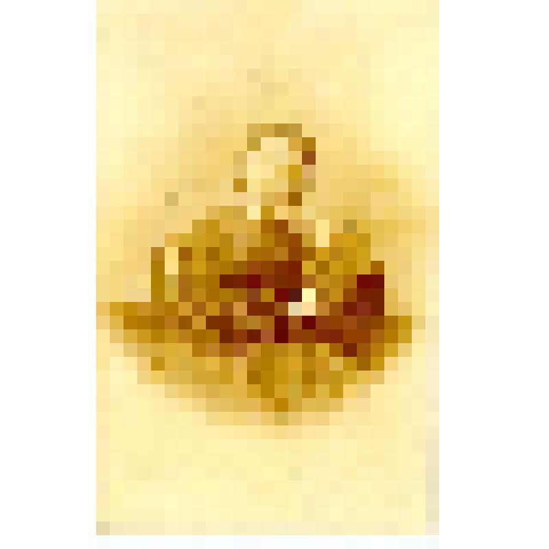 Фотография. Евтропова София Ясоновна