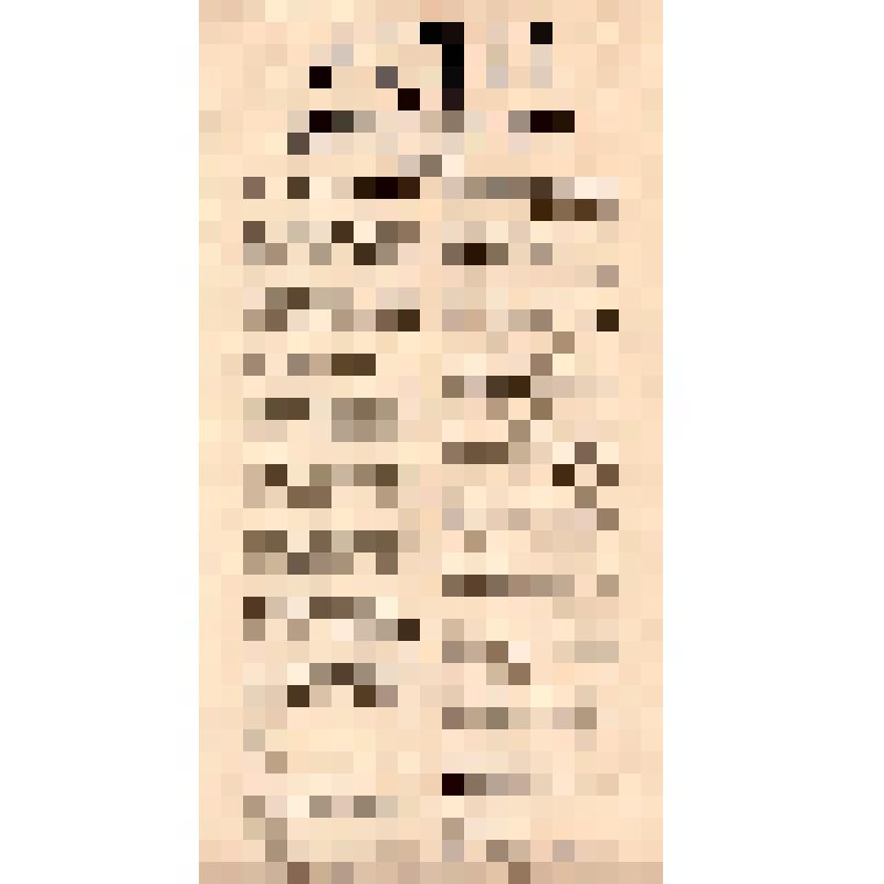 Воззвание. К рабочим всех стран. (на нем. яз.)