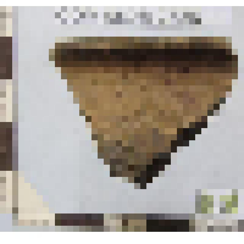 Венчика красножгущейся миски фрагмент