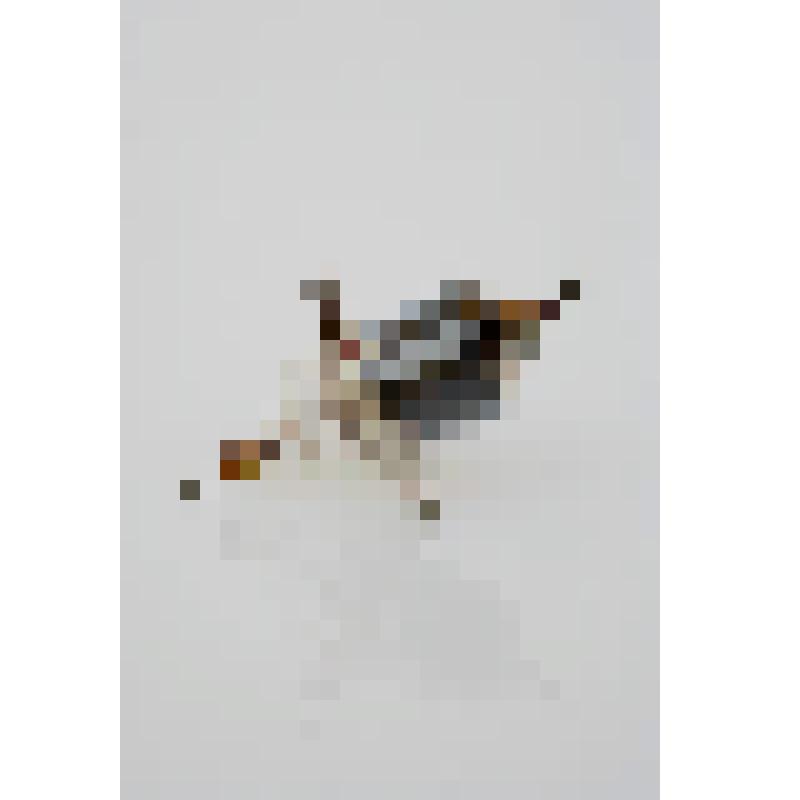 Радиолампа типа "954"