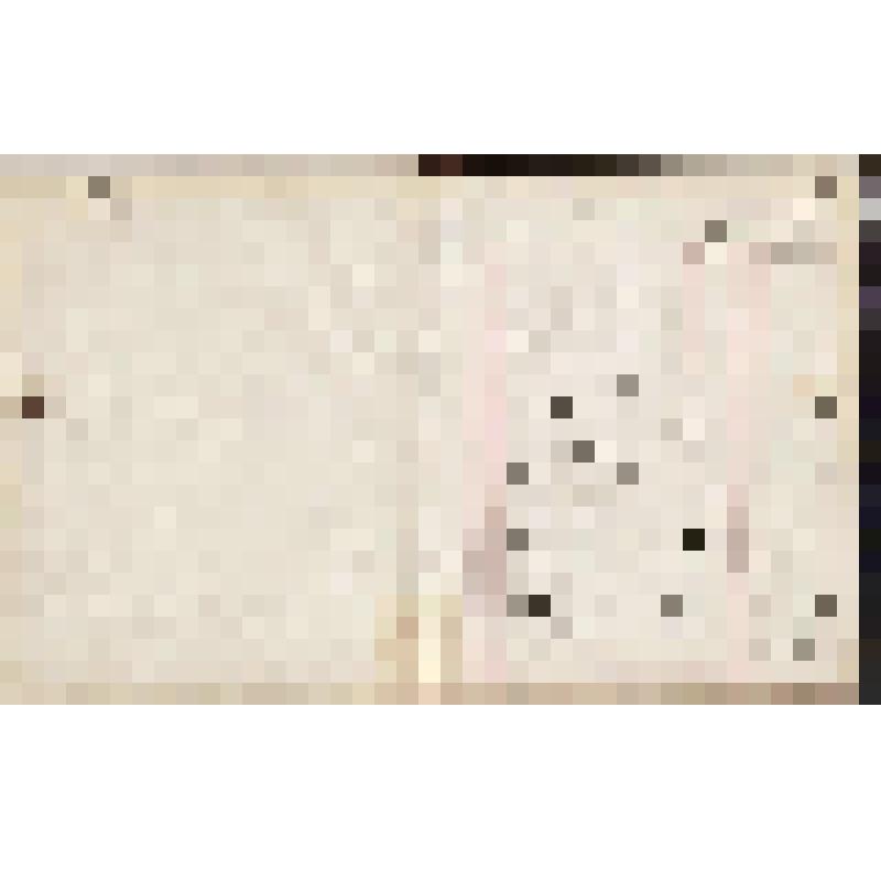 Книга для приемки и продажи муки и припасов Чердынского купца Г.П.Гусева, 1887 - 1889 гг