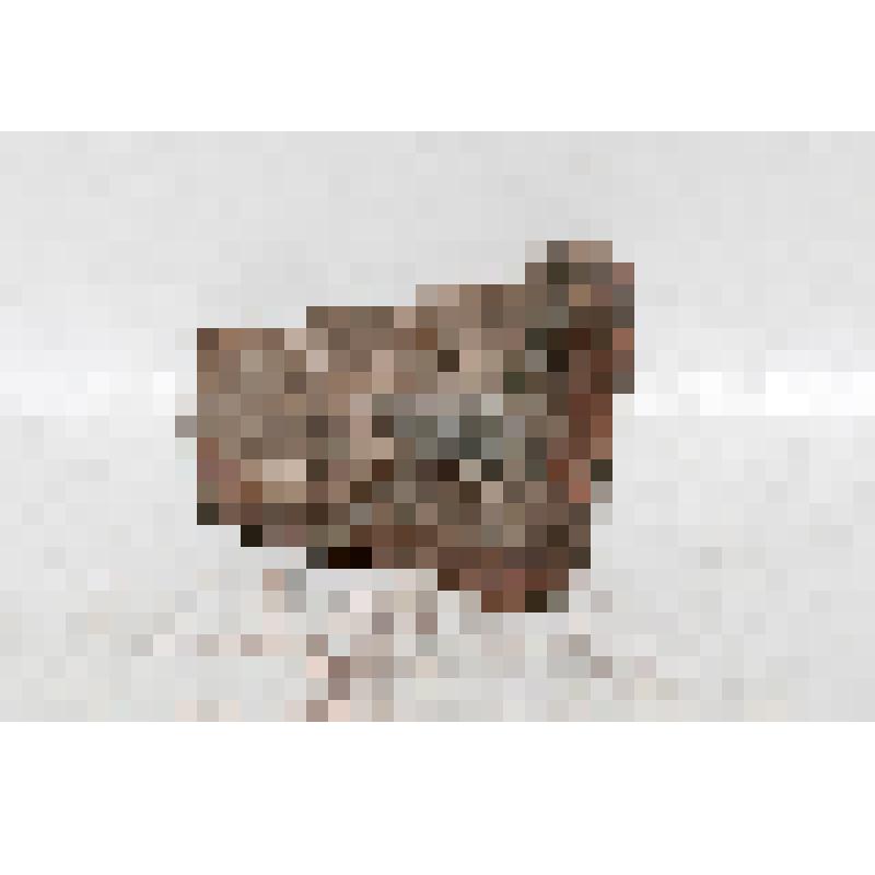 Изразец (фрагмент) угловой рельефный полихромный