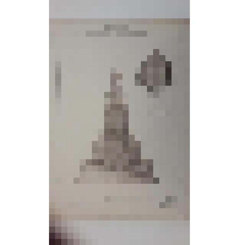 Храм Воскресения Христова ("Спас на Крови"), наб. канала Грибоедова.(Екатериниский), 26. 1883-1907 гг. г. Санкт-Петербург (Ленинград). Храм Воскресения Христова ("Спас на Крови"). Зигерберг Франц. Второй конкурс проекта храма. Проект Ф. Зигерберга. План и