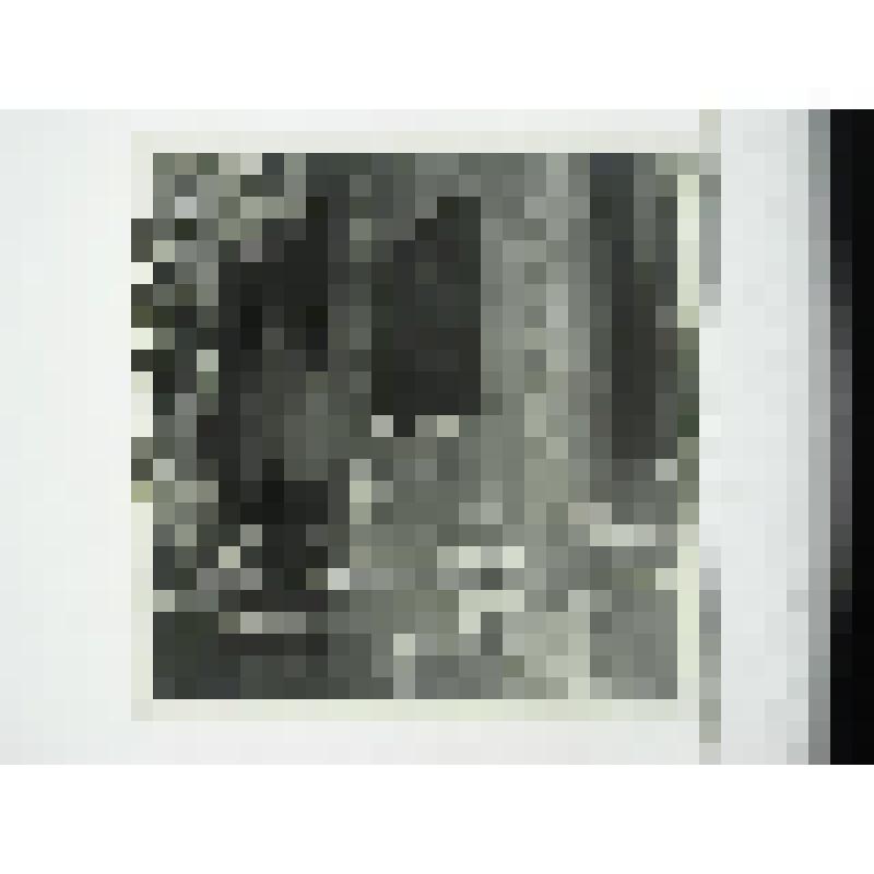 Усадьба управляющего Кусинским заводом. Главный дом. улица Андроновых, 13. 1895 г., 1909 г. Челябинская  обл., Кусинский р-н, г. Куса. Усадьба управляющего Кусинским заводом. Главный дом. улица Андроновых, 13. 1895 г., 1909 г. Тележников Ф. А. Фрагмент гл