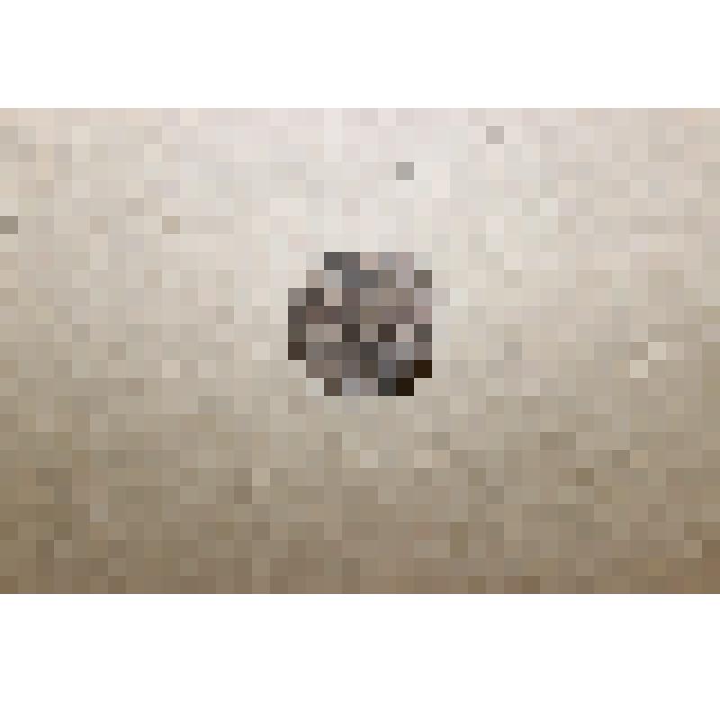 Монета  1 копейка