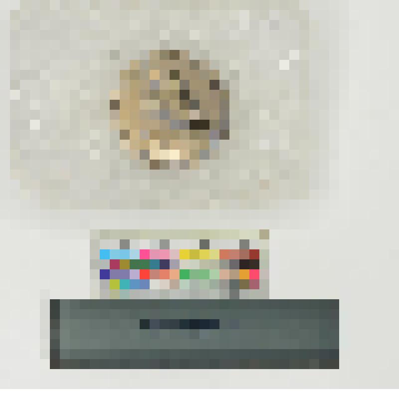 СССР. Значок. Фирма "Ленвест"