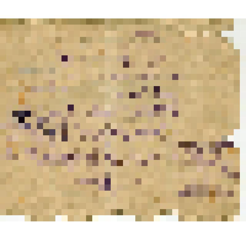 Справка N3/984 Киселева П.И., мобилизованного в счет "500" на колхозную работу