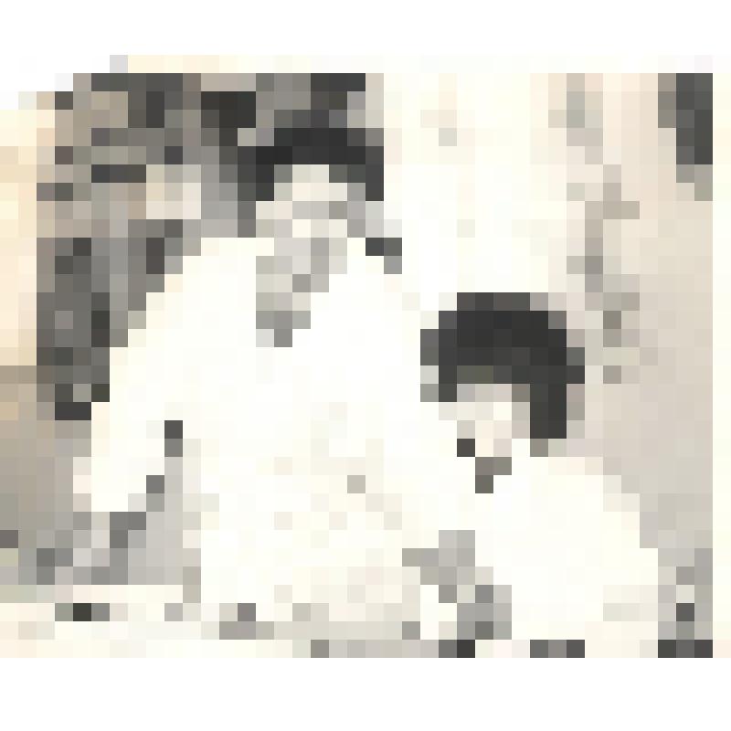 Фотоснимок  групповой. Участок щипки слюды цеха № 2