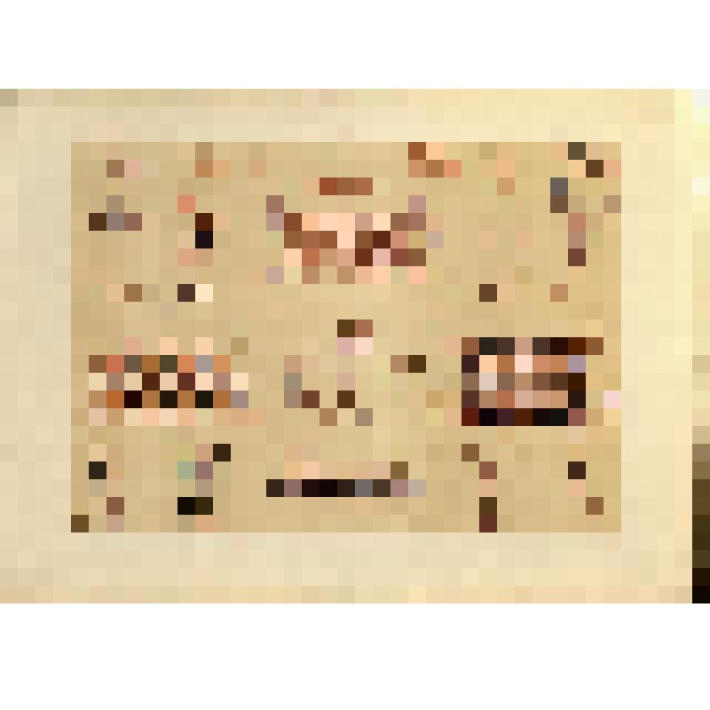 Лист LXII (62). Русский орнамент XV в. Из альбома «История русского орнамента. С X по XVI столетие. По древним рукописям»