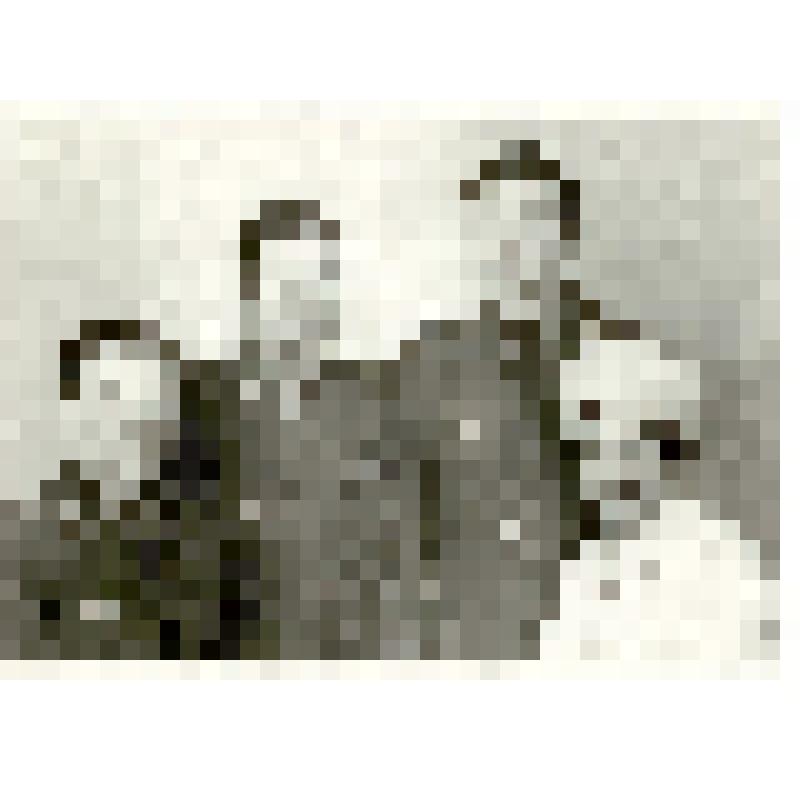 Фотография. Кураев Виталий Николаевич (слева), майор ВВС, с бывшим однокашником по Саратовской спецшколе ВВС № 8 Теслиным В.С. (2-й слева), сыном и супругой