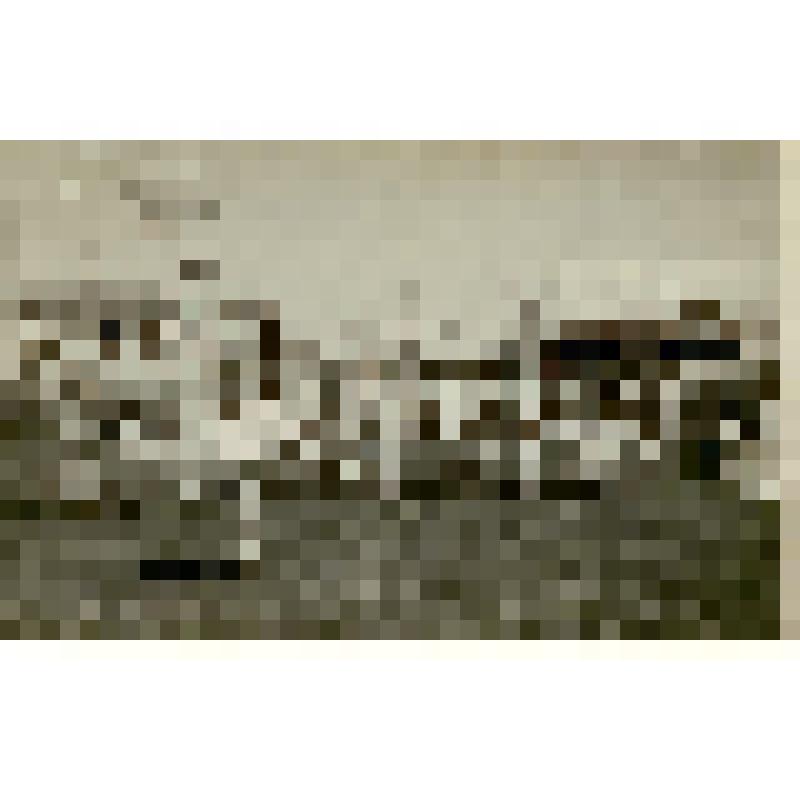 Фотография. Выступление сборной по гимнастике спортивной школы гороно на городском спортивном празднике ко Дню Победы