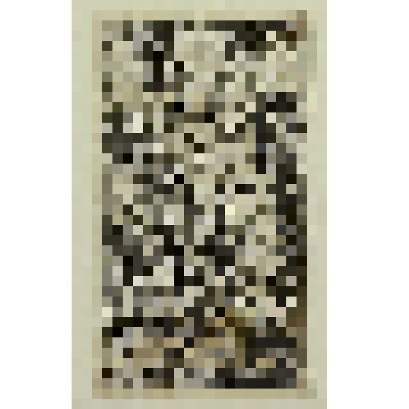 Иллюстрация 5  к поэме Бартоломео Боккини "Le pazie de' savi, o vero il Lambertaccio", гравюра