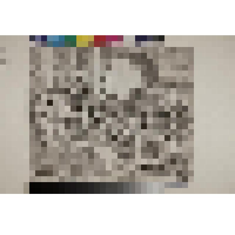 Великодушие Сципиона, гравюра