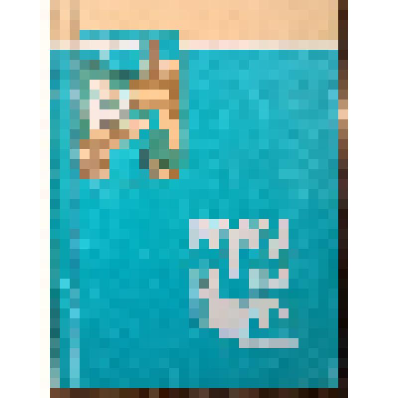 Книга В.М.Цыганкова "Город на Ипути"