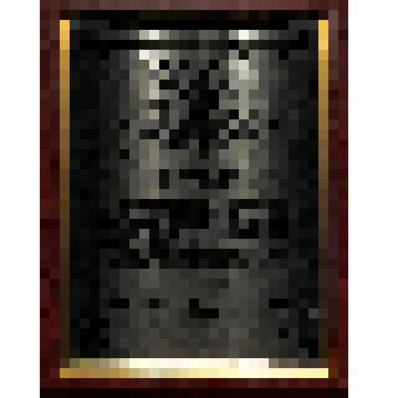 Приветственный адрес от Председателя Центрального совета Российской оборонной спортивно-технической организации РОСТО (ДОСААФ) генерал-полковника А.Анохина. сентябрь 2004 г. г.Москва