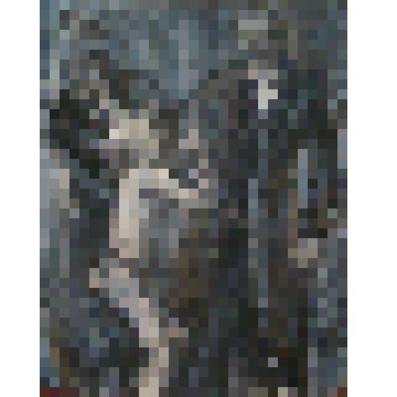 Митя. Иллюстрация к роману Ф.М.Достоевского "Братья Карамазовы"