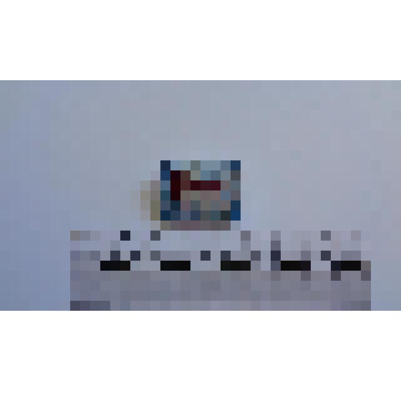 Значок "Охрана окружающей среды. Снежный барс". СССР