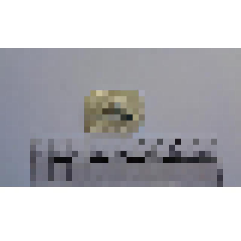 Значок "Охрана окружающей среды. Снежный барс". СССР