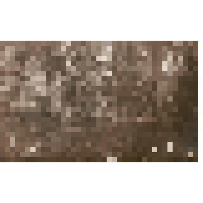 Открытка. Виды с. Шапокъ. Нижній прудъ и дача Эркъ. Из комплекта: Открытки с видами Шапок. Издание Якова Нермана., Открытки с видами Шапок. Издание Якова Нермана