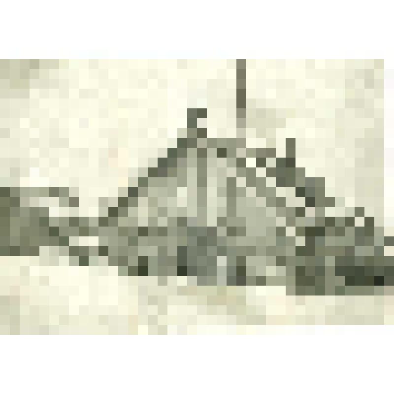 Установка радиоантенны на фактории Дровяной. Фотография