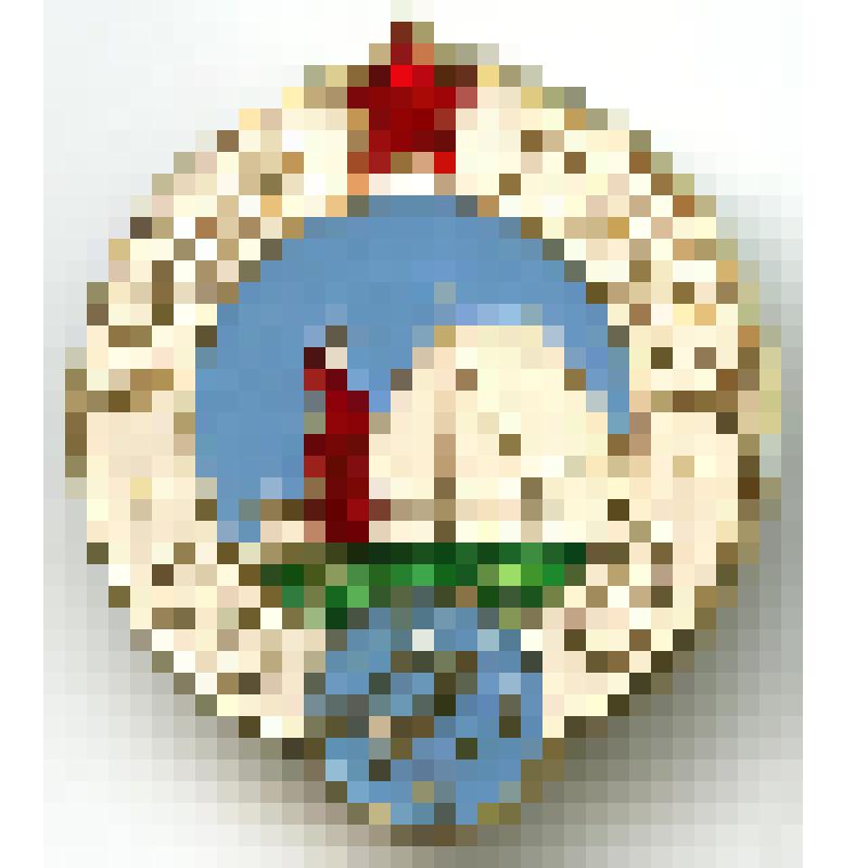 Значок "Юный турист"