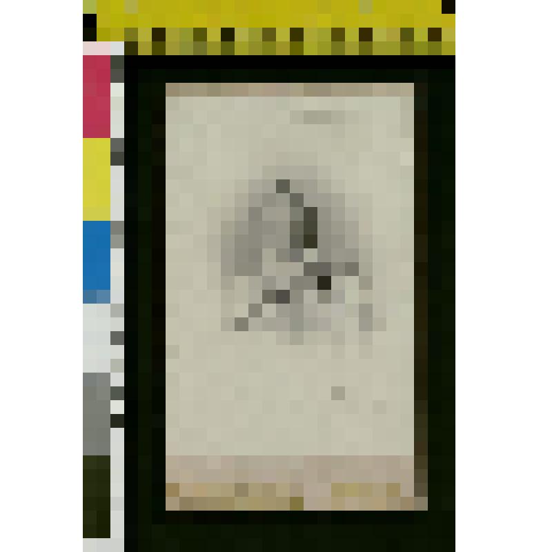 Фотография: Портрет И.И. Толстого (1897-1970)