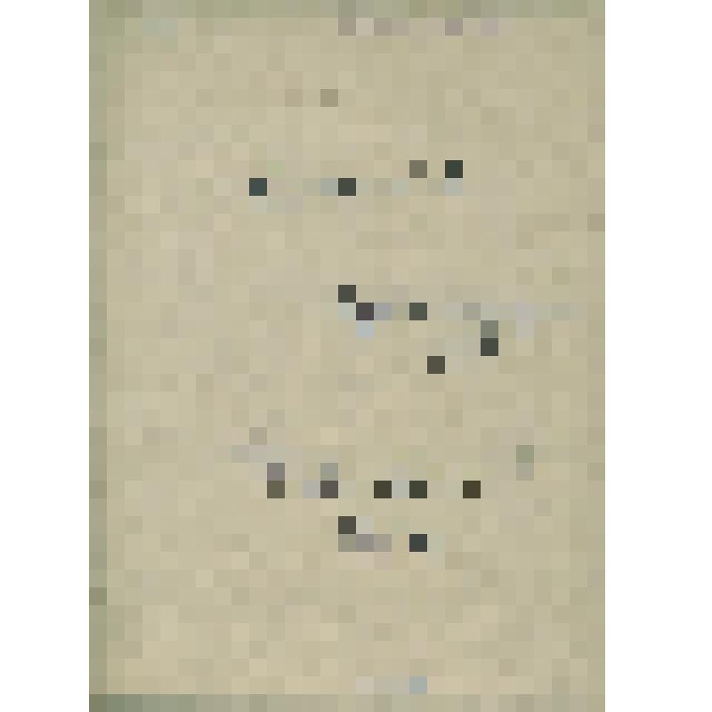 Документы периода становления Сольвычегодского музея