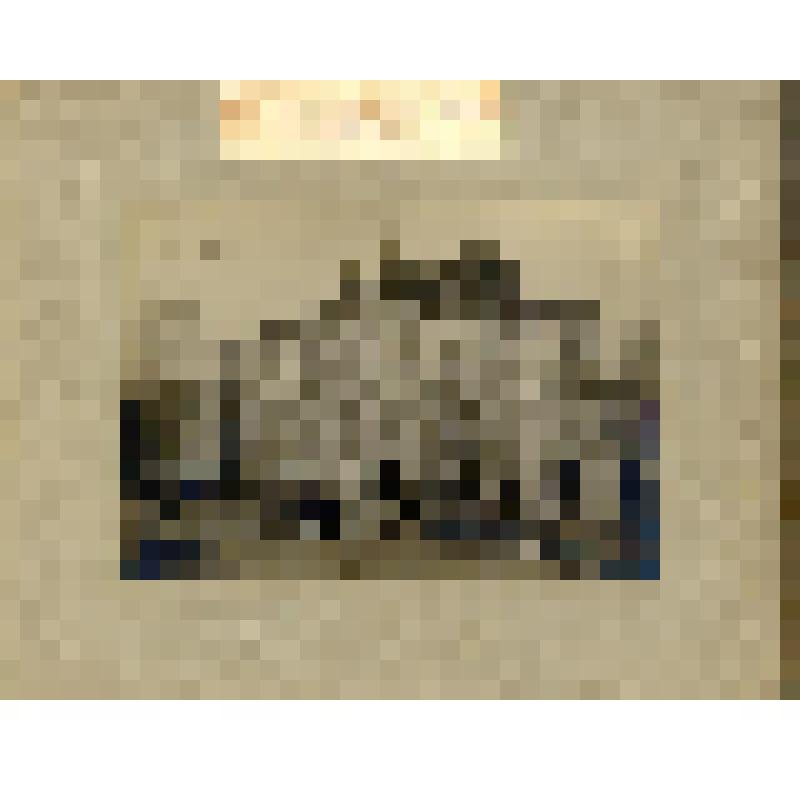 Фотография. Дом № 13 на ул. Гребешковской  после пожара в апреле 1927г. Вид на передний и правый боковой фасады