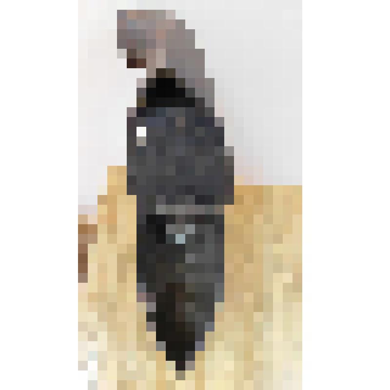 Корпус утюга угольного с трубой