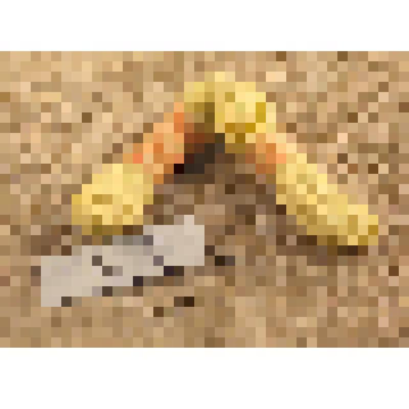 Мулине светло-желтые мерсеризованные, из коллекции нитей "мулине"