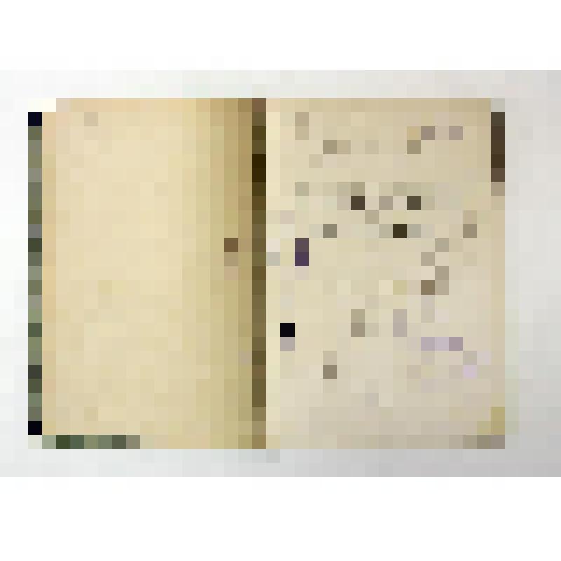 Книга. Литературные воспоминания и современная смута. Т.1.  СПб., типо-литография Б.М. Вольфа, 1900