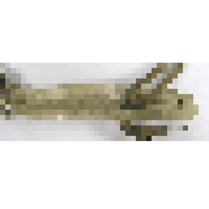 Пластина налобная