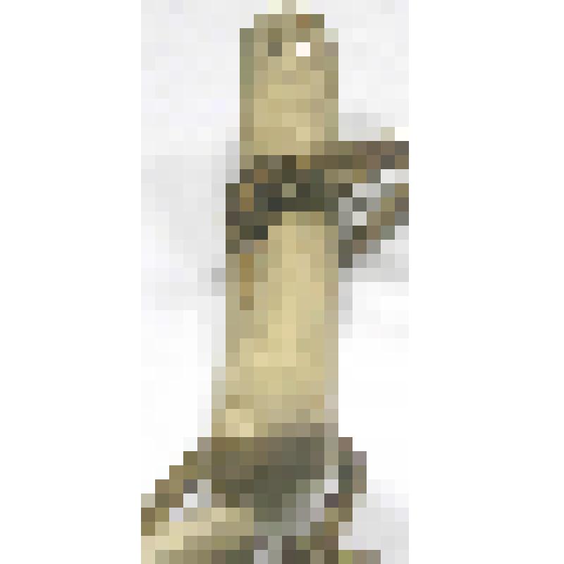 Пластина налобная