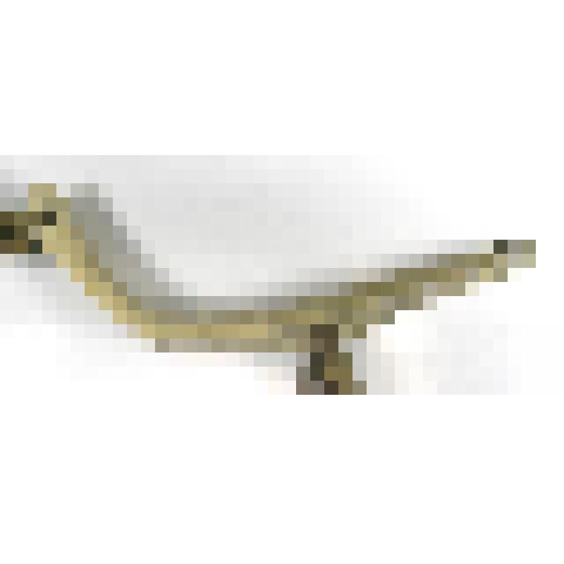 Пластина налобная