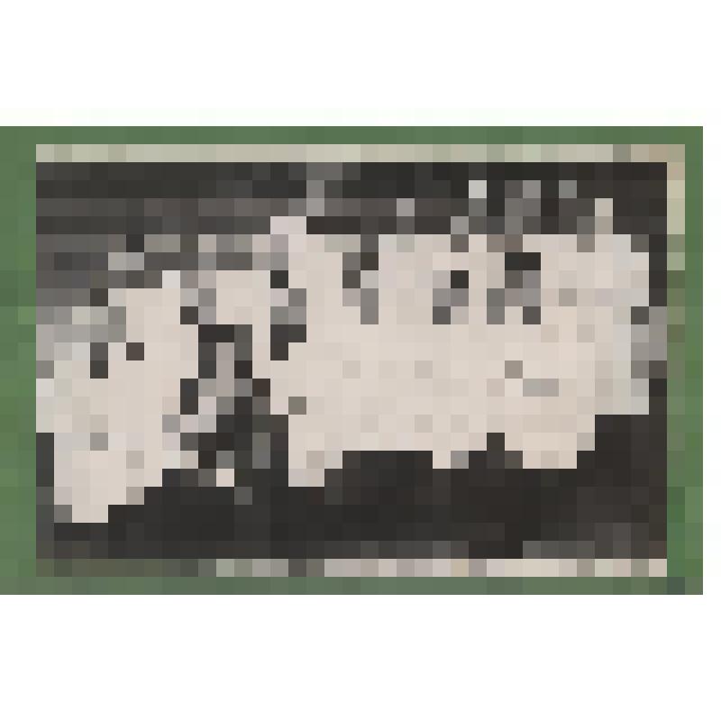 Фотография. Медицинский персонал Сосновской районной больницы