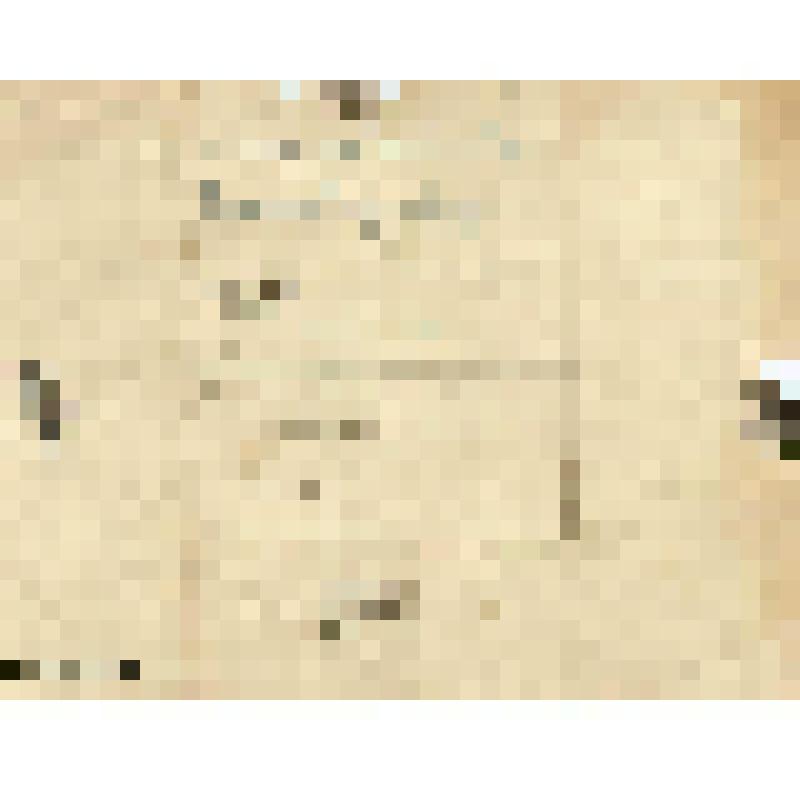 Телеграмма № 636931 в г. Чердынь В. Н.Алину от Алина из г. Москвы, 22.01.1886 г